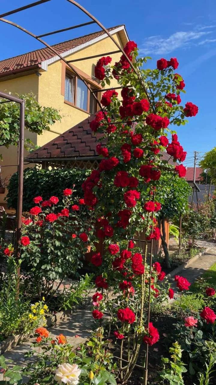Квітковий Двір Golubinoye Extérieur photo