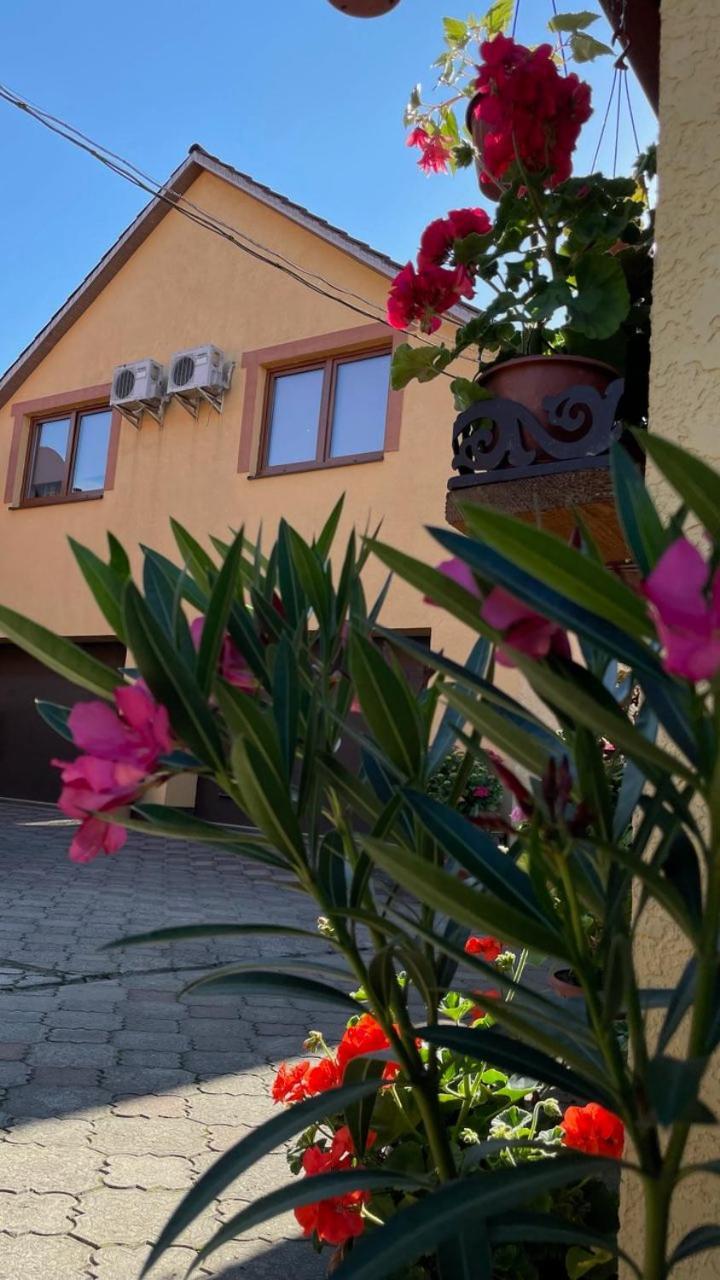 Квітковий Двір Golubinoye Extérieur photo